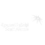 Saudi Aramco